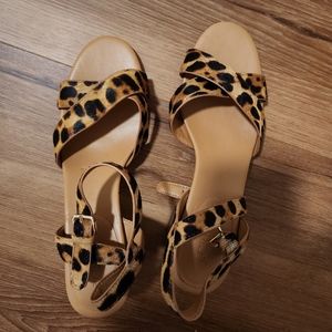 J crew  cheetah 8.5 block heels